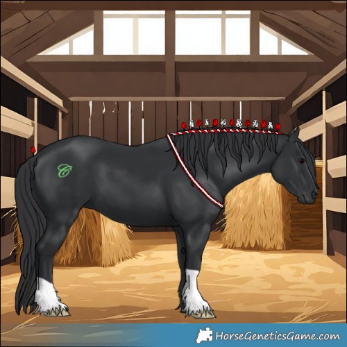 Horse Color:Black 