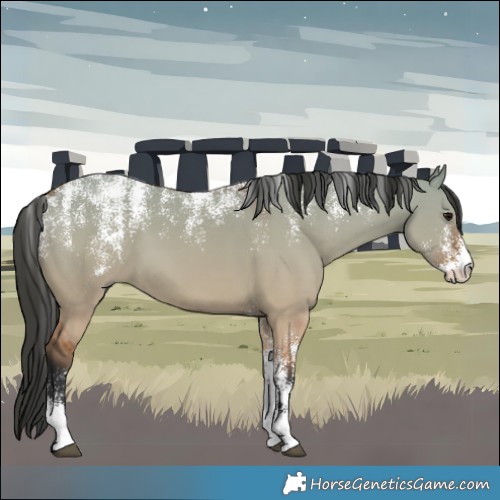 Horse Color:Powder White Bay Dun 
