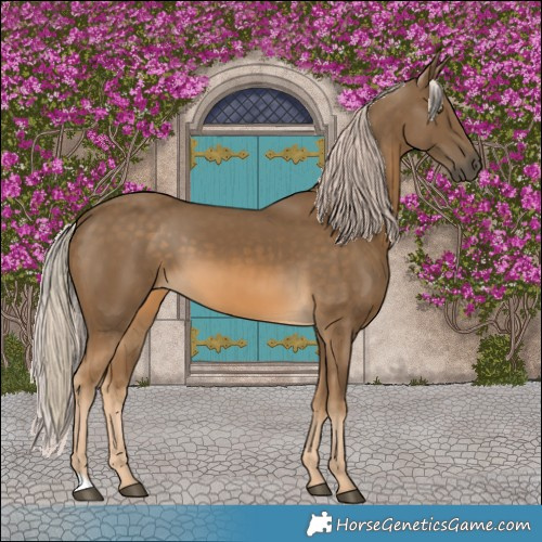Horse Color:Pseudo Chocolate Palomino 