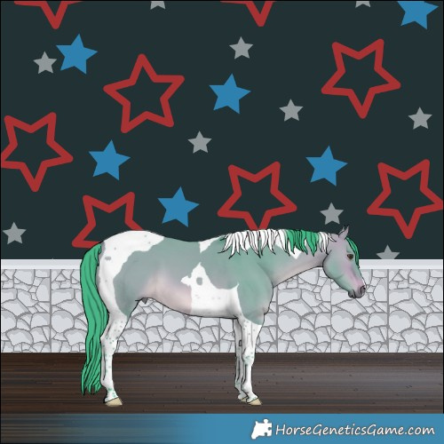 Horse Color:Watercolor Bay Dun Tobiano 