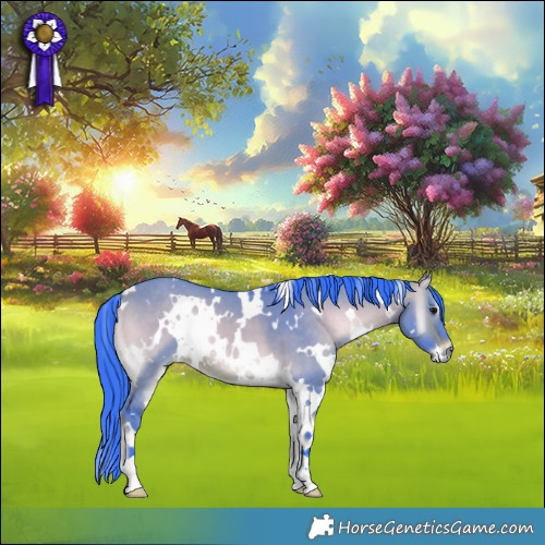 Horse Color:Watercolor White Spotted Brown Onyx 