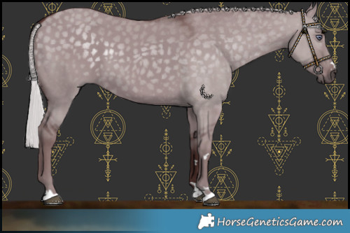 Horse Color:Chocolate Silver Smoky Grullo Chinchilla