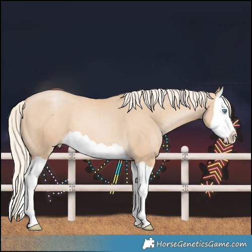 Horse Color:Palomino Pearl Splash 