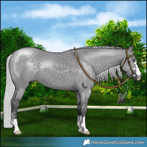 Horse Color:Silver Smoky Grullo Chinchilla 