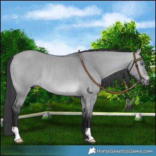Horse Color:Brown Chinchilla Dun Rabicano 