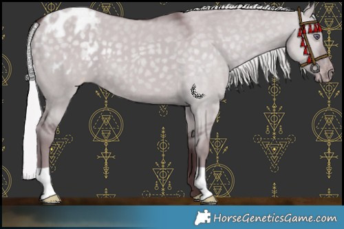 Horse Color:Chocolate Silver Grullo Chinchilla Varnish 