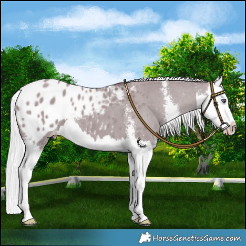 Horse Color:Chocolate Silver Grullo Chinchilla Sabino Splash Varnish 