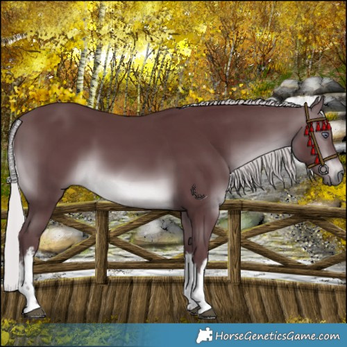 Horse Color:White Spotted Chocolate Silver Brown Chinchilla