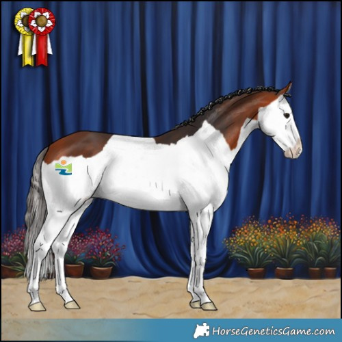Horse Color:Bay Splash 