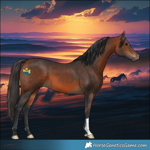 Horse Color:Bay 