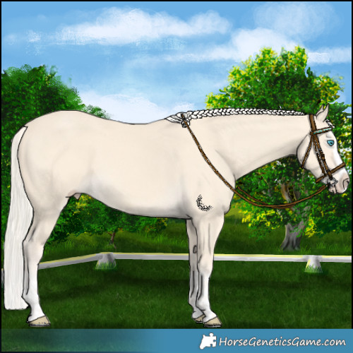 Horse Color:Cremello Splash  and Cremello Splash 