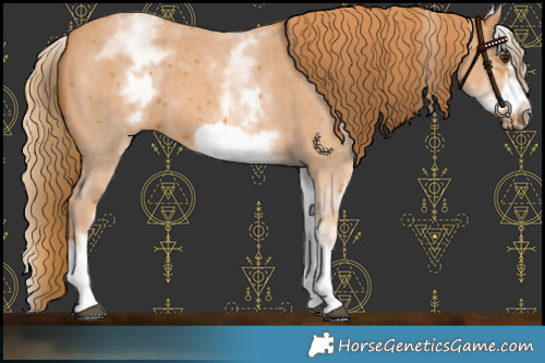 Horse Color:White Spotted Chestnut Sabino Frame 