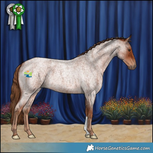 Horse Color:Red Roan 