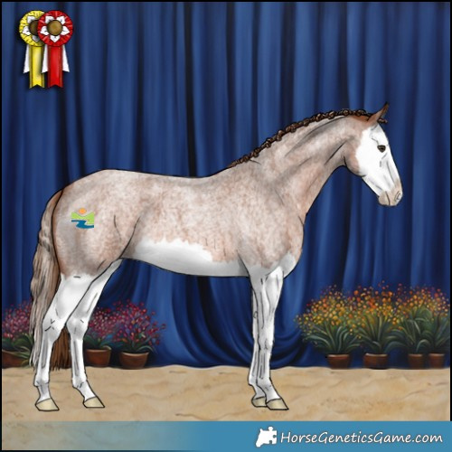 Horse Color:Red Roan Splash