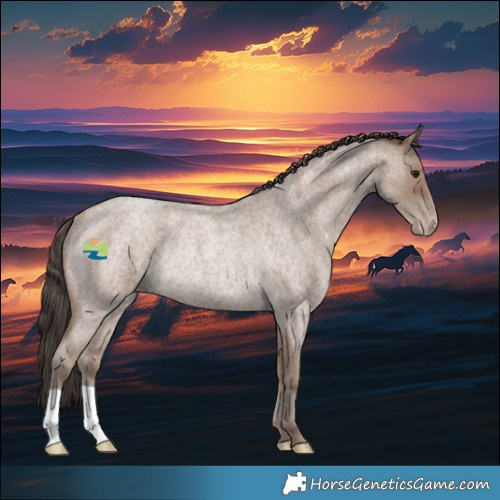 Horse Color:Classic Champagne Roan Rabicano 