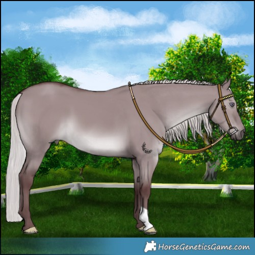 Horse Color:Chocolate Silver Smoky Grullo Chinchilla