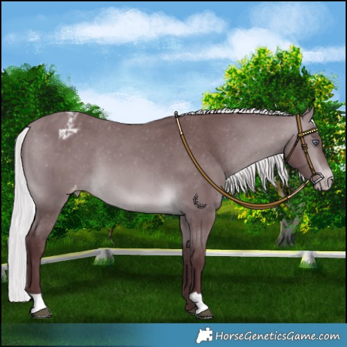 Horse Color:Chocolate Silver Brown Chinchilla Varnish 