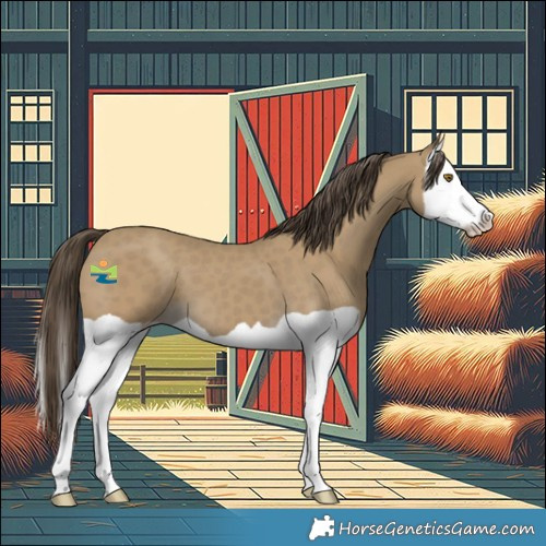 Horse Color:Classic Cream Champagne Splash 