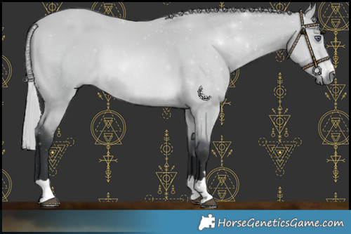 Horse Color:Silver Bay Chinchilla 