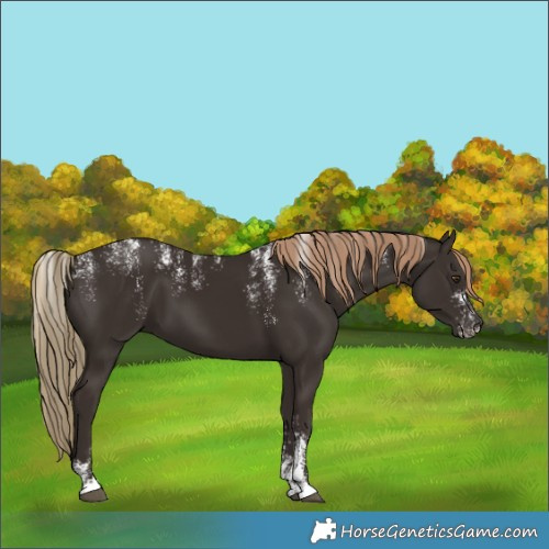 Horse Color:Powder White Liver Chestnut 