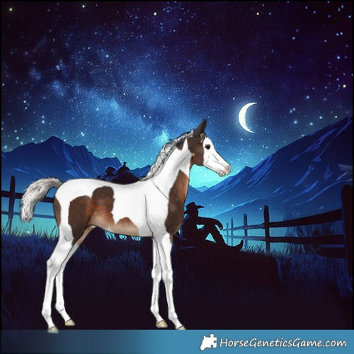 Horse Color:Silver Brown Splash Tobiano