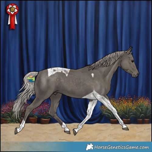 Horse Color:Silver Black Tobiano