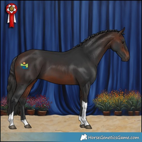 Horse Color:Brown Tobiano 