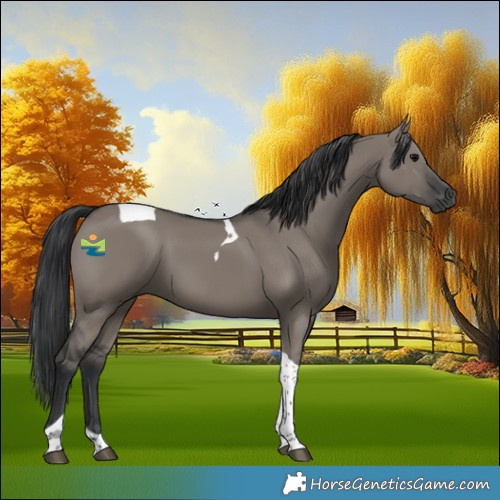 Horse Color:Grullo Tobiano 
