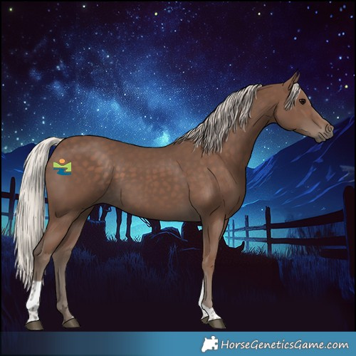 Horse Color:Silver Black Tobiano 