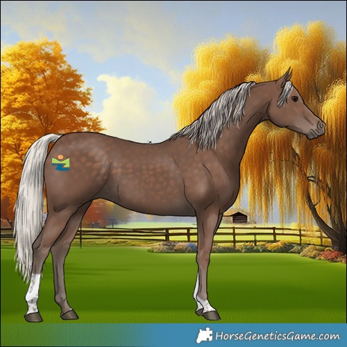 Horse Color:Silver Black Tobiano 