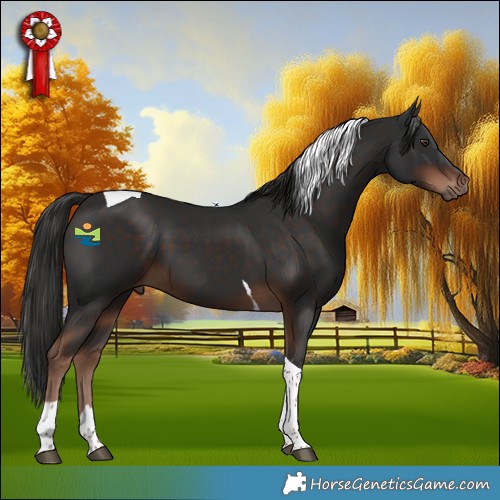 Horse Color:Liver Chestnut Tobiano 