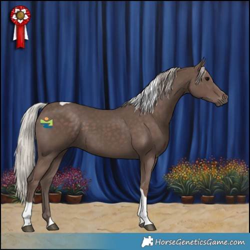 Horse Color:Silver Black Tobiano