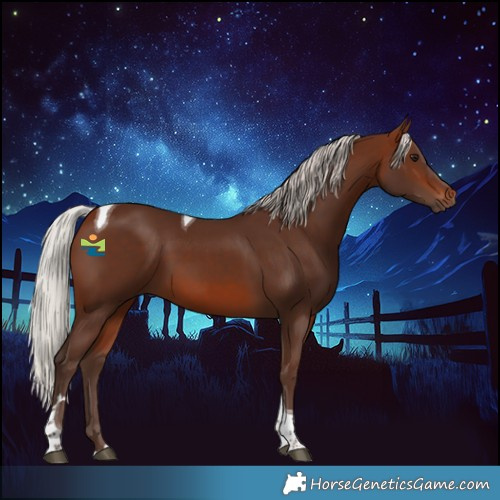 Horse Color:Silver Brown Tobiano 