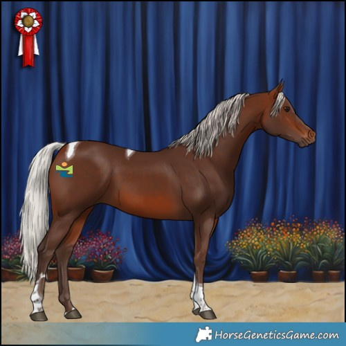 Horse Color:Silver Brown Tobiano