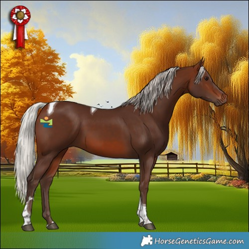 Horse Color:Silver Brown Tobiano 