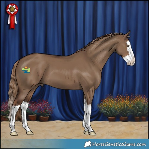 Horse Color:Liver Red Dun Splash 