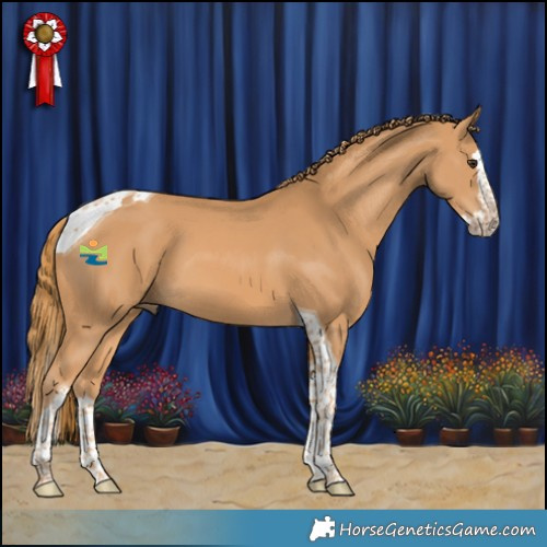Horse Color:Chestnut Splash Tobiano 