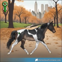 Horse Color:Brown Tobiano Rabicano