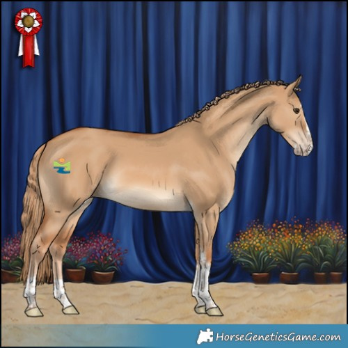 Horse Color:Red Dun Splash Tobiano