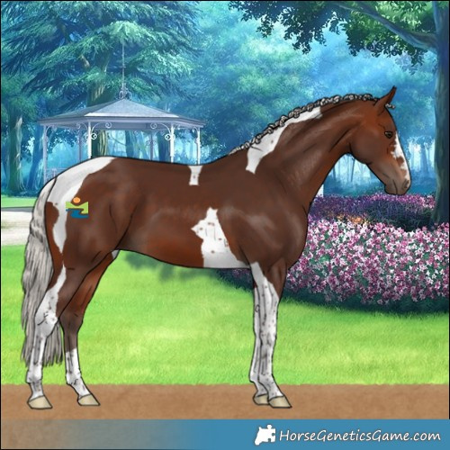 Horse Color:Silver Brown Tobiano 