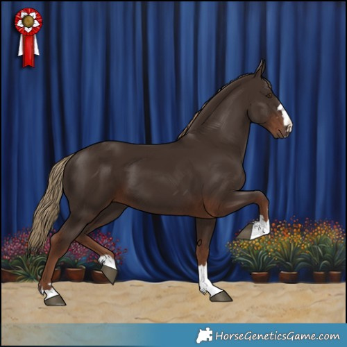 Horse Color:Liver Chestnut
