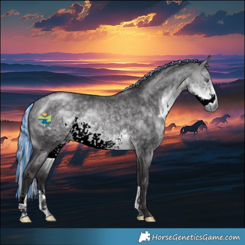 Horse Color:Painted Silver Buckskin Chinchilla 