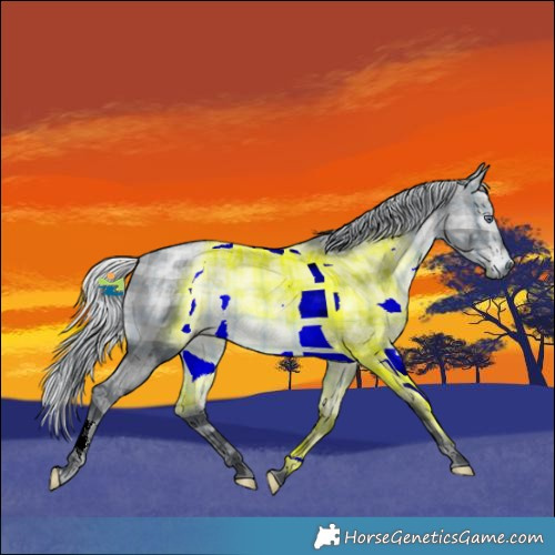 Horse Color:Plaid  Silver Bay Chinchilla Ice 