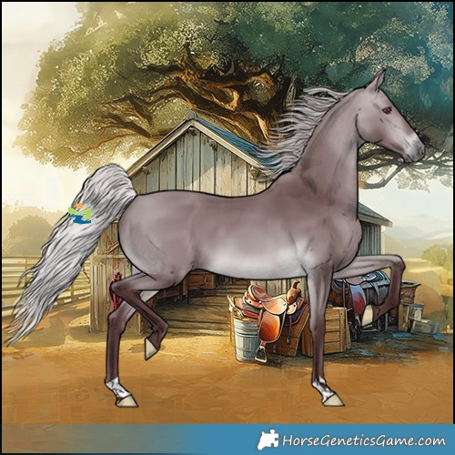 Horse Color:Chocolate Silver Bay Chinchilla 