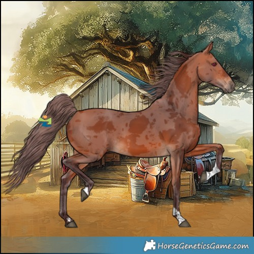 Horse Color:Chocolate Bay Merle Tobiano 