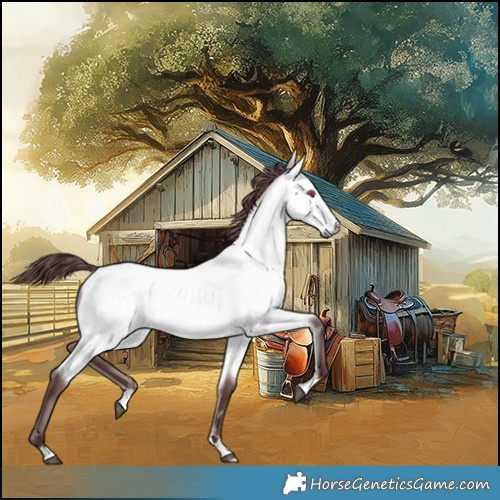 Horse Color:Chocolate Buckskin Chinchilla 