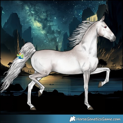 Horse Color:Gray Platinum Palomino Onyx 