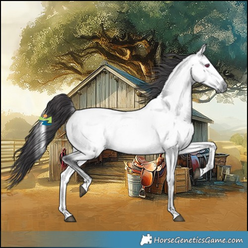Horse Color:Platinum Buckskin Chinchilla Onyx 