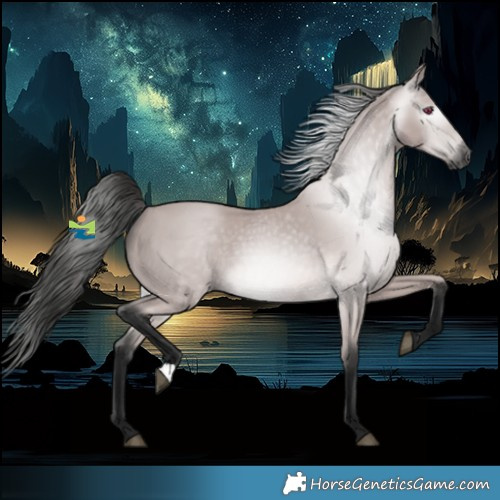 Horse Color:Gray Platinum Buckskin Rabicano 