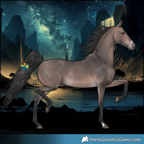 Horse Color:Platinum Bay Rabicano 